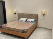 1 BHK Independent House in Vijay Nagar for rent Indore....