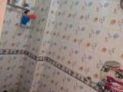 1 BHK rent BuilderFloor in Shahdara, Delhi