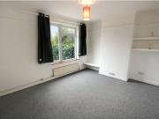 1 BHK spacious house for rent