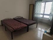 1 BHK Studio in Hinjawadi for rent Pune. The reference...