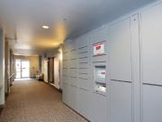 1 BR, 1 BA Apartment 1011 E Terrace St, Seattle, WA 98122