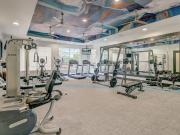 1 BR, 1 BA Apartment 1310 Silver Sage Drive Unit 7 206,...