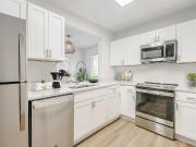 1 BR, 1 BA Apartment 15501 Bruce B Downs Blvd Unit 0304,...