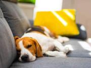 1 BR, 1 BA Apartment 2000 2nd Ave S, Birmingham, AL 35233