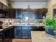 1 BR, 1 BA Apartment 2015 Escala Parkway Unit 05202, San...