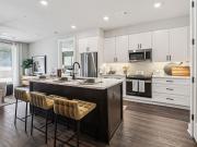 1 BR, 1 BA Apartment 3255 Carlisle Street Unit 2622,...