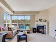 1 BR, 1 BA Apartment 400 Spring St, St Paul, MN 55102
