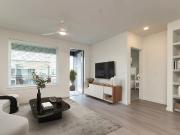 1 BR, 1 BA Apartment 411 West Commerce Street Unit 235,...