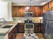 1 BR, 1 BA Apartment 871 Ibis Walk Pl N Unit 109, Saint...