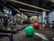 1 Br, 1 bath, Apartment 175 Freeman St