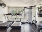 1 Br, 1 bath, Apartment 1802 Apollo Rd