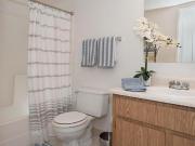 1 Br, 1 bath, Apartment 2361 Oak Harbour Dr