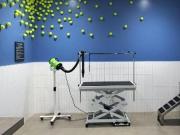 1 Br, 1 bath, Apartment 245 W Broadway