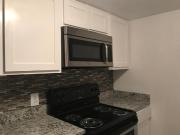 1 Br, 1 bath, Apartment 4351 Point Blvd