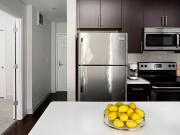 1 Br, 1 bath, Apartment 45 E Newton St