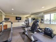 1 Br, 1 bath, Apartment 7565 Shoreline Dr
