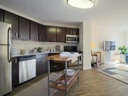 1 Br, 1 bath, Condo 30 W Chestnut St
