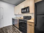 1 BR, 2 BA Apartment 919 North 20th Street Unit 1001,...
