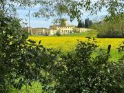 1 camere da letto, Florence Florence 50143 79812228