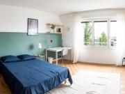 1 chambres, Strasbourg Strasbourg 67000 94964676