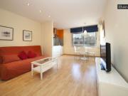 1 Dormitorio Apartamentos Barcelona Barcelona 91688394