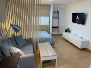 1 Dormitorio Apartamentos Málaga Málaga 94064053