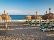 1 Dormitorio Negocio MARBELLA MALAGA 85510054