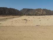 1 HA EN LOS ARENALES DE TUNQUEN