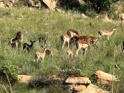 1 ha Land available in Bronkhorstbaai