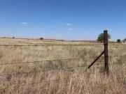 1 ha Land available in Martindale