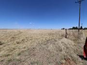 1 ha Land available in Martindale