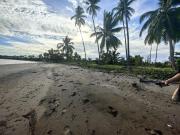 1 Hectare Beach lot for sale in Aborlan Palawan
