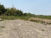 1 Hectare Commercial Lot for Lease in Camalig Area,...