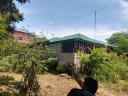 1 Hectare Commercial Lot For Sale in Toril, Davao City,...