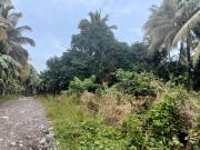 1 hectare farm lot in Calinan, Lamanan, Davao City for sale