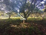 1 HECTARE FARMLOT FOR SALE IN TUGBOK DAVAO CITY 5.5M