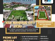 1 HECTARE LOT FOR SALE MANDAUE CITY, CEBU NRA