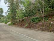 1 hectare lot near Eden Nature Park Davao for sale