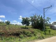 1 Hectare overlooking property in Eden Bayabas Toril