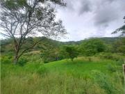 1 Hectárea a 9km de La Mesa Cundi