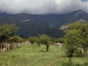 1 Hectarea en Achiras Arriba, San Javier Yacanto,...