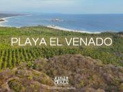 1 HECTAREA EN PLAYA EL VENADO
