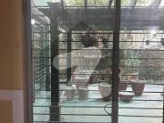 1 Kanal 4 Bed With AC Installed & Generator Full House...