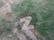 1 Kanal All Dues Clear Developed Plot G 17/1 Up For Sale