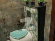 1 Kanal and 4 Marla Brand New Luxury House In Bahria...