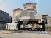 1 Kanal Brand New Designer Luxury House Available For...