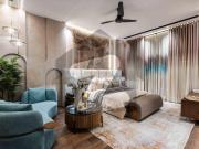 1 kanal brand new fully furnished full basement house...