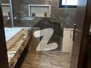 1 Kanal Brand New Luxury House For Rent In Overseas A...