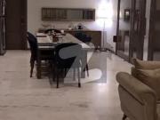 1 kanal brand new superb lush stunning house for rent...