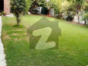 1 Kanal Commercial House Is Available For Rent